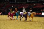 Quadrille - 00503